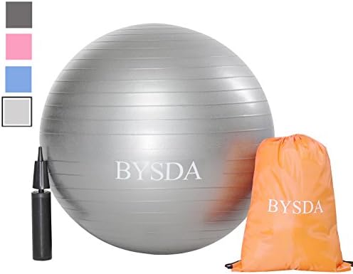 Exercise Ball- 2,000 lbs Stability Ball 65cm-Professional Grade Anti Burst Exercise Equipment for Home, Balance, Gym, Core Strength, Yoga, Fitness, Desk Chairs,Hand Pump & Gym Storage Backpack as gift