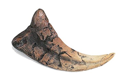 Utahraptor Claw Replica