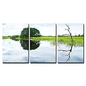 3 Piece Canvas Wall Art - Wetlands in Pantanal, Brazil - Modern Home Art Stretched and Framed Ready to Hang - 16"x24"x3 Panels