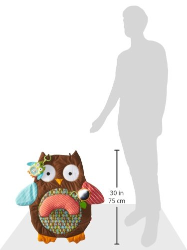 skip hop owl playmat