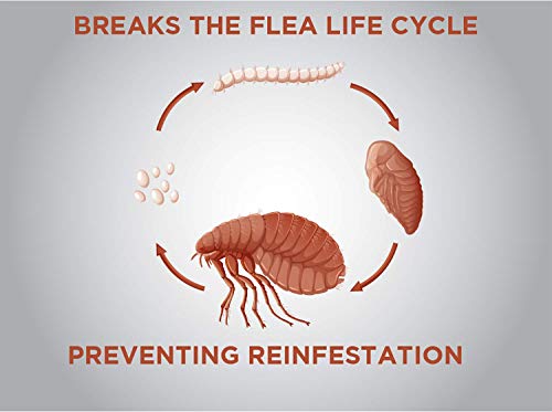 2 TevraPet+Actispot+Flea+Prevention+Treatment