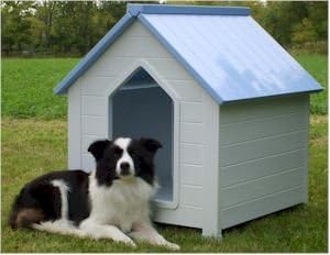 amazon dog house insulated