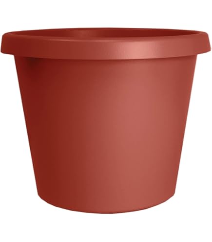 ceramic plant saucer LE TAUCI 12 Inch Pots for Plants with Saucer main image 1