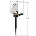 Trenton Gifts Weather Resistant Outdoor LED Solar Owl Light, Garden Stake | White
