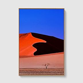 Framed Canvas Home Artwork Decoration Desert Canvas Wall Art for Living Room, Bedroom - 16x24 inches