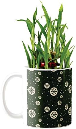 YaYa Cafe Christmas Gifts Dazzling Lucky Bamboo Mug Planter Indoor Plants - 2 Layer Feng Shui for Wealth, Prosperity