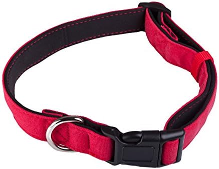 Dog Collars For Medium Dogs - Blue Red Colours - Tough Cotton Finish Neoprene Lining For Extra Comfort - Strong D Ring To Attach Leash - Treat Your Dog Today