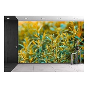 Good Brown Tarragon in The Morning Dew - Removable Wall Mural | Self-Adhesive Large Wallpaper - 66x96 inches