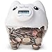 The Digi-Piggy Digital Coin Counting Bank