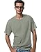 Hanes 50/50 Short Sleeve T - STONEWASH GREEN - Large