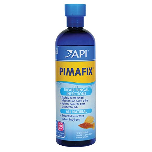 16 Oz, Pimafix for Use in Fresh or Salt Water
