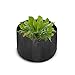 Mophorn 12-Pack 65 Gallon Plant Grow Bag Aeration Fabric Pots with Handles Black Grow Bag Plant Container for Garden Planting Washable and Reusable (12-Pack 65 Gallon)thumb 4