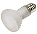 Satco Products S4886 120-Volt 50R20 Frosted Shatter Proof Light Bulb