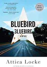 Bluebird, Bluebird (A Highway 59 Novel Book 1)
