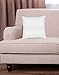 Decorative Pillow Insert (2 Pack) - Square 18x18 Sofa & Bed Pillow - Polyester Cotton Indoor White Pillows by Utopia Bedding