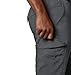 Columbia Men's Silver Ridge Cargo Pant