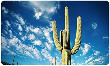 Desert Cactus Doormat Entrance Mat Floor Mat Rug Indoor/Outdoor/Front Door/Bathroom Mats Rubber Non Slip Size 30 x 18 inches