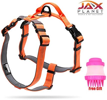 planet dog harness