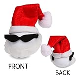 Cool Santa