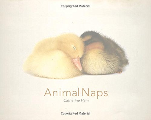 Animal Naps