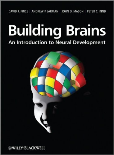 Building Brains - An Introduction to Neural Development