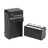 D&F Li-ion Replacement Battery and Recharge Charger Compatible with Sony NP-F750 NP-F770 Camcorder LED Video Light