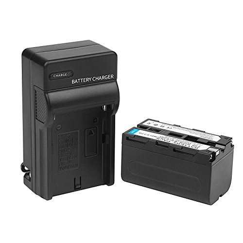 D&F Li-ion Replacement Battery and Recharge Charger Compatible with Sony NP-F750 NP-F770 Camcorder LED Video Light