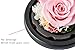 Dakotan Handmade Eternal Rose- Preserved Flower Rose,Forever Flower with Heart Shape Glass -Gift for Valentine's Day Mother's Day Christmas Anniversary Birthday Thanksgiving Girls（Pink）