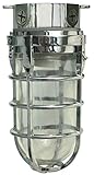 Woods L1706CH Vandal Resistant 150W Incandescent Security Light, Ceiling Mount, Chrome (Tools &amp; Home Improvement)