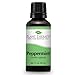 Plant Therapy Peppermint Essential Oil 30 mL (1 oz) 100% Pure, Undiluted, Natural Aromatherapy for Diffuser & Topical Use, Relaxation, Digestion, Respiratory, & Massage, Peppermint Oil for Skin & Hair