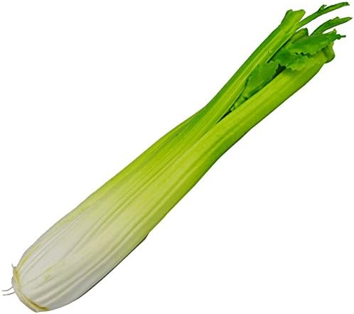 Transcend11 1pc Simulated Celery Artificial Lifelike Fake Vegetable Home Party Market Display Kids Toy Kitchen Decoration Photography Props
