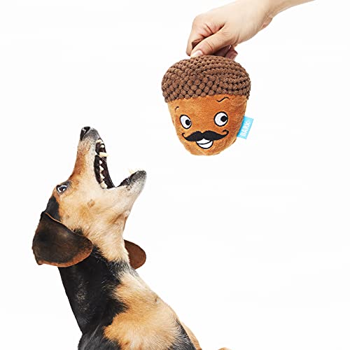 barkbox acorn toy