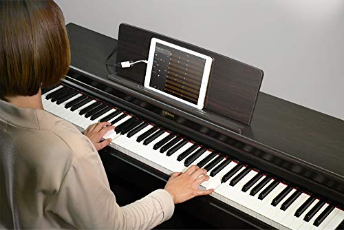 Yamaha Arius YDP-144 Console Digital Piano - Rosewood Bundle with Furniture Bench, Headphones, Keyboard Stickers, Instructional Book, Austin Bazaar Instructional DVD, and Polishing Cloth