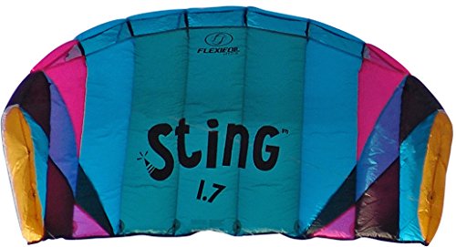Flexifoil 1.7m2/2.2m Wide Sting 4-line Power Kite with 90 Day! By World Record Power Kite Designer - Safe, Reliable and Durable Power Kiting, Kite Training and Traction Kiting.
