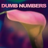 DUMB NUMBERS                                       image