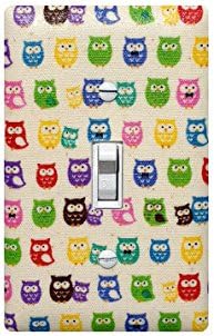 Rainbow Owl Light Switch Plate Cover