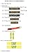 Custom Uniform Name Tapes, 50 Fabrics to choose from! Made in the USA! SHIPS UNDER 24 HRS! Desert Digital, 5