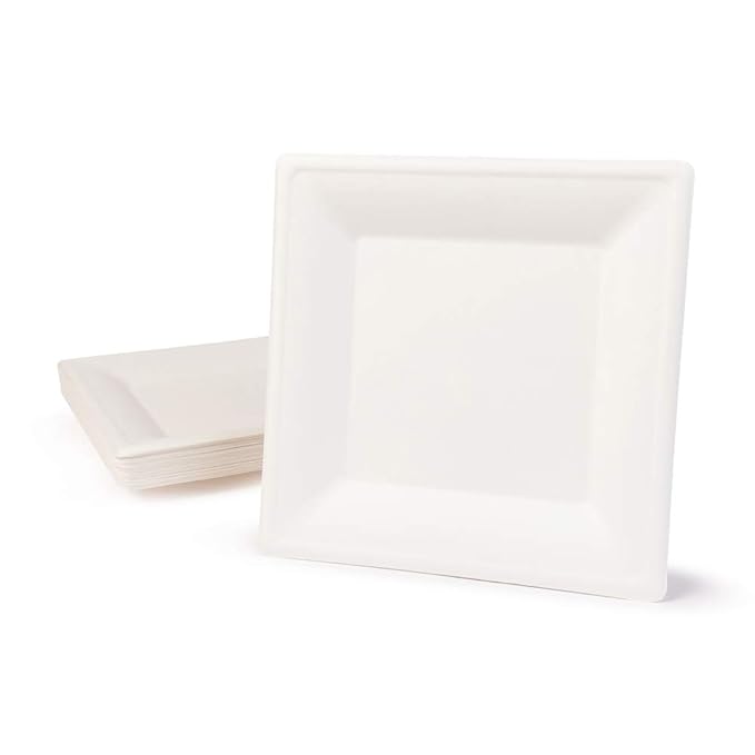 BIOZOYG Umweltverträgliches Bagasse Geschirr Einweg | 100 Stück Zuckerrohr Teller weiß eckig Gebleicht 26x26 cm | Bio Einwegg