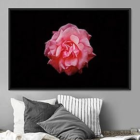 signwin Framed Canvas Wall Art Rose Bohemian Dark...