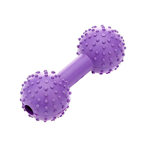 CLASSIC Pet Products for Dogs Pimple Dumbbell with Bell, 110 mm, Purple