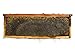 Acorn Bee 10ct Medium white plastic bees wax coated foundation Made in USA