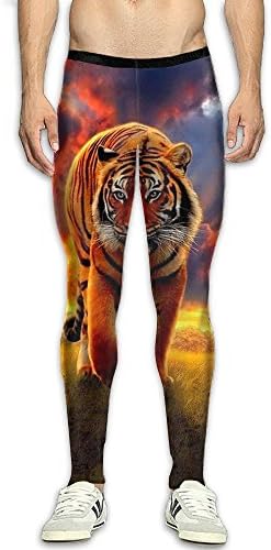 Sunset Clouds Tiger Mens Fitness Sports Compression Tights Pants