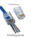 RJ45 8P8C CAT6 Connectors - End Pass Through Ethernet RJ-45 Gold Plated Network Cable Clamshell, Connector One-Piece High Performance RJ45 Modular Plug (Cat6 100 Pcs)