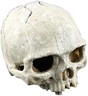 Corner Biz Aquarium - Resin Skull Aquarium Decoration Terrarium Reptile Fish Tank Ornament