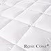 ROSECOSE Luxurious Goose Down Comforter Queen Duvet Insert All Seasons Solid White Hypo-allergenic 1200 Thread Count 750+ Fill Power 100% Cotton Shell Down Proof with Tabs (Queen, White)