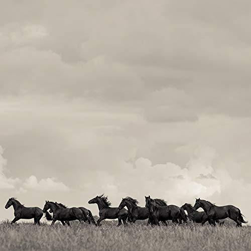 Carys Jones Canvas, Multi-Colour, 40 x 40 cm