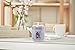 Yankee Candle Balsam & Clove Scented, Classic 22oz Large Jar Single Wick Candle, Over 110 Hours of Burn Time