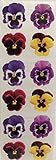 Pansy Purple Yellow Flowers Stickers - 6 Sheets