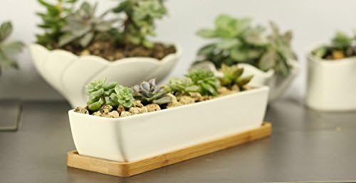 SWONVI (TM) 11.1 inch long rectangle White Ceramic Succulent Planter Pots / Mini Flower Plant Containers with Bamboo Saucers. Product size:11.1x2.36x1.77inch. (Rectangle)