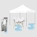 Eurmax 10'x10' Ez Pop Up Canopy Tent Commercial Instant Canopies with Heavy Duty Roller Bag